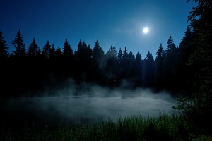 ETANG DE LA GRUERE  Jura Suisse