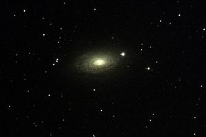 M 63 LE TOURNESOL