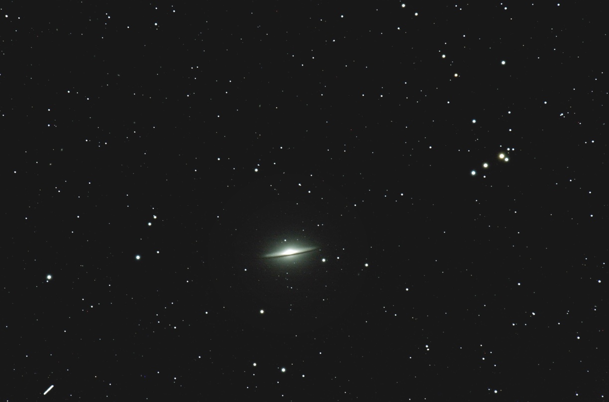 m104_iris.jpg