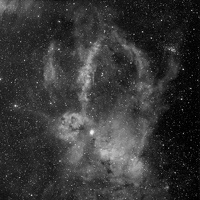 SH2 157 LA PINCE DU HOMARD