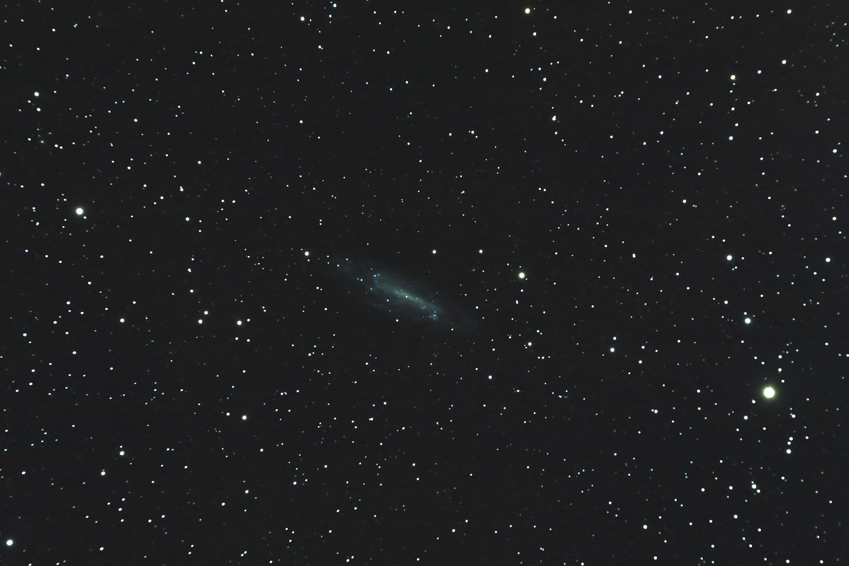 NGC 4236