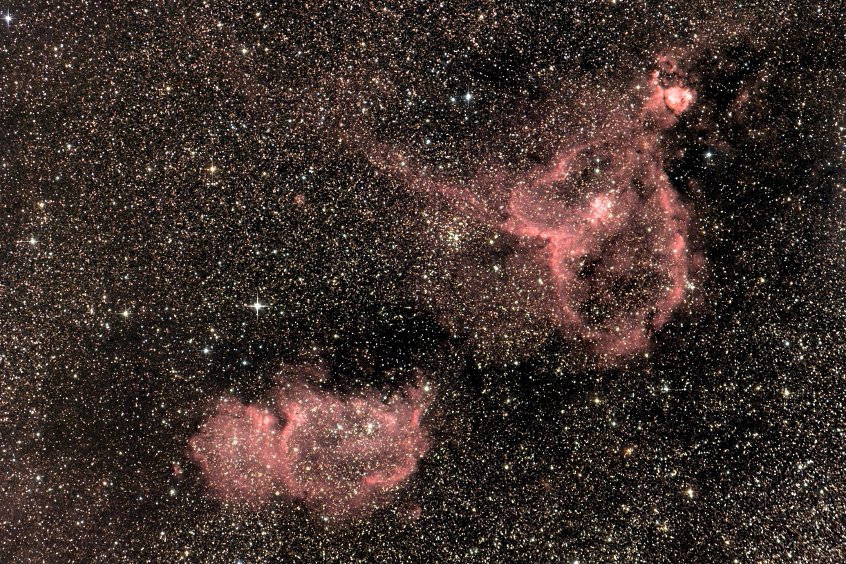 LE FOETUS ET LE CEOUR IC 1805 & IC 1848