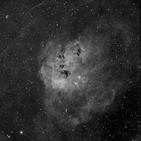 IC 410 NEBULEUSE DU TETARD