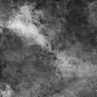 IC 1318