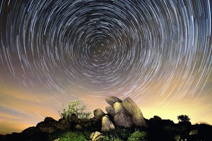 CIRCUM POLAIRE STAINBERG