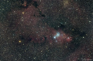 NGC 2264 LE CONE / L ARBRE DE NOEL