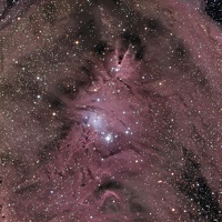 NGC 2264 LE CONE / L ARBRE DE NOEL / LE RENARD