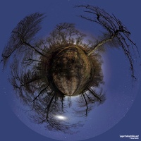 FORET