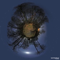 FORET