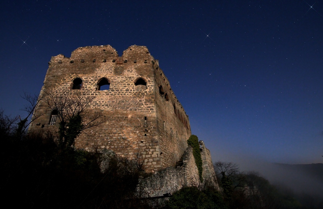 IMG_3382_DxO_raw.jpg