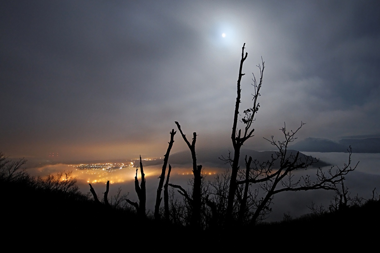 IMG_3471_DxO_raw.jpg
