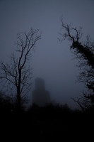 IMG 3477 DxO raw