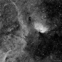 SH2 101 LA TULIPE