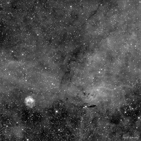 SH2 104