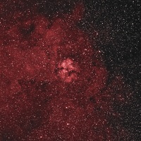 SH2 124