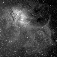 SH2 132