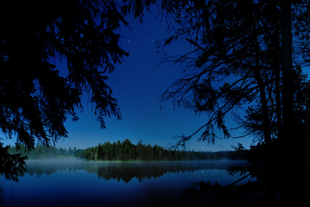 ETANG DE LA GRUERE  Jura Suisse