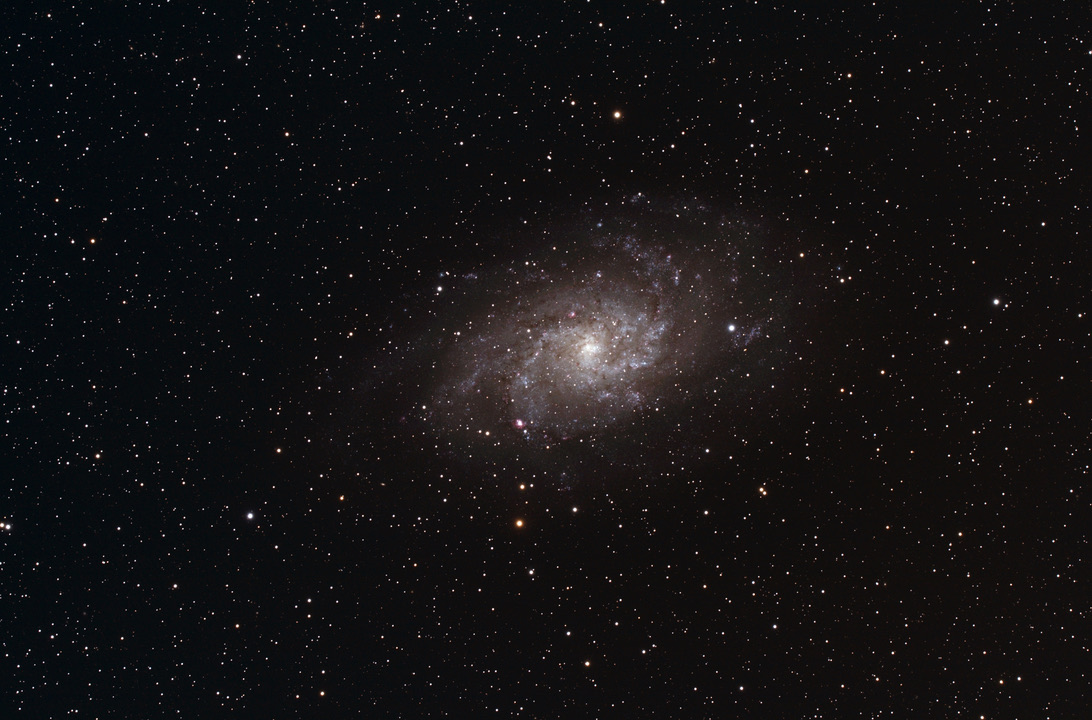 M 33